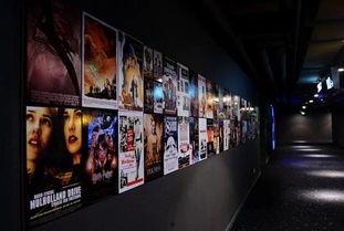 免费国产影院,免费观影，尽享视听盛宴